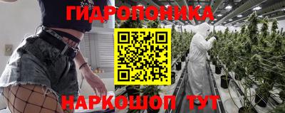 экстази Гай