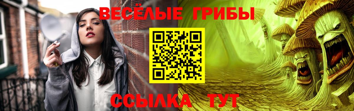 Галлюциногенные грибы Psilocybe  Псилоцибиновые грибы Magic Shrooms  Медногорск  Вход с VPN 