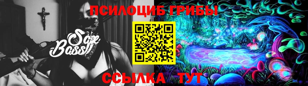 Псилоцибиновые грибы Psilocybine cubensis Медногорск